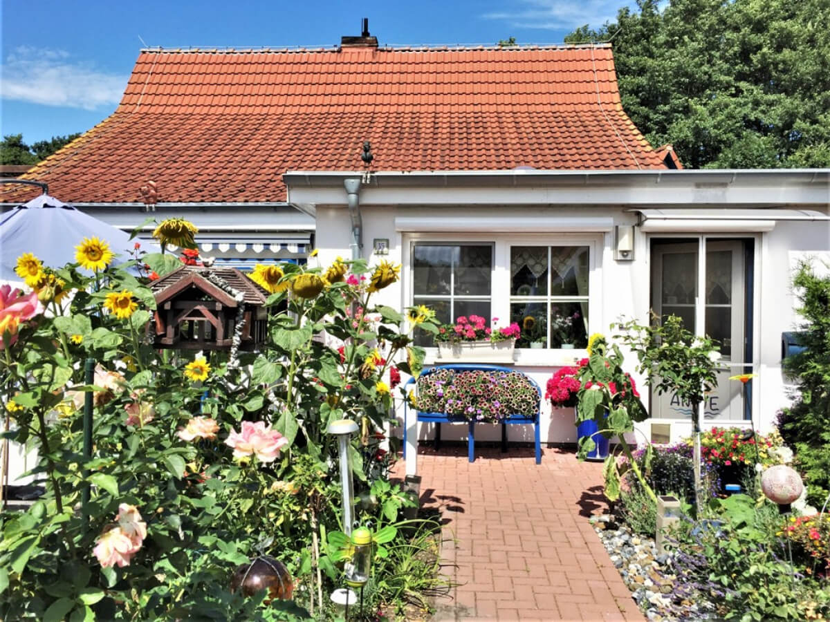 ostseetraum-immobilien-garten-auf-ruegen
